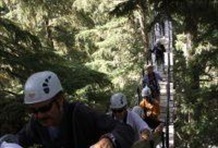Ziptrek Eagle Tour